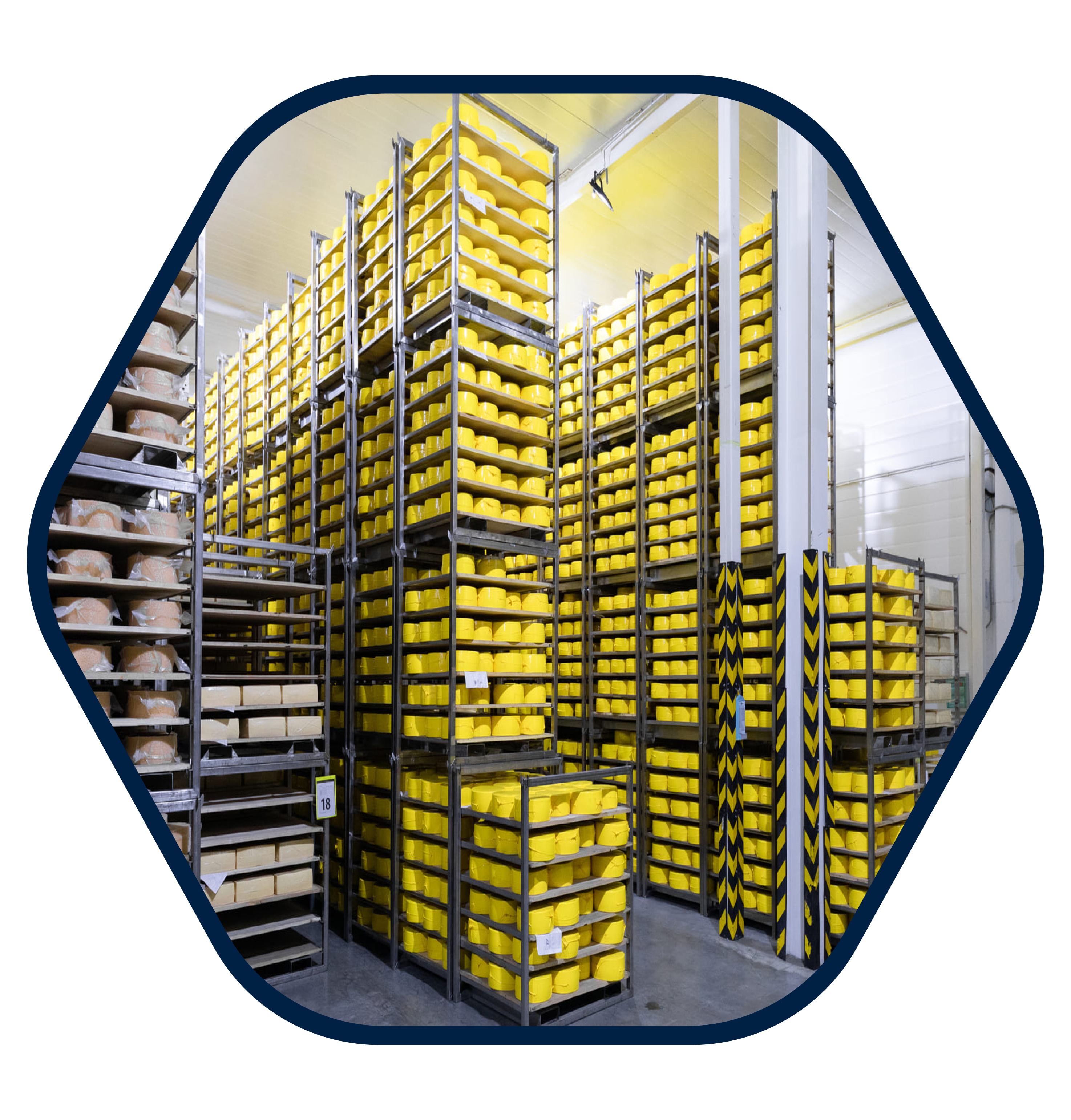 automated storage and retrieval system companies in Kerala, India